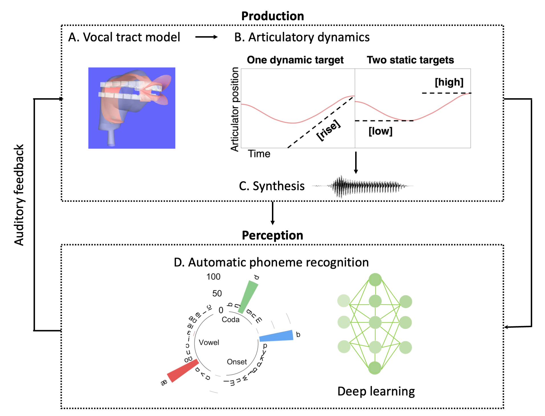 Diphthong articulation trajectories
