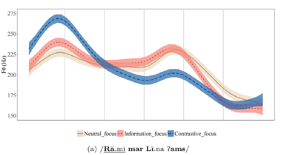 Hijazi Arabic Focus Prosody