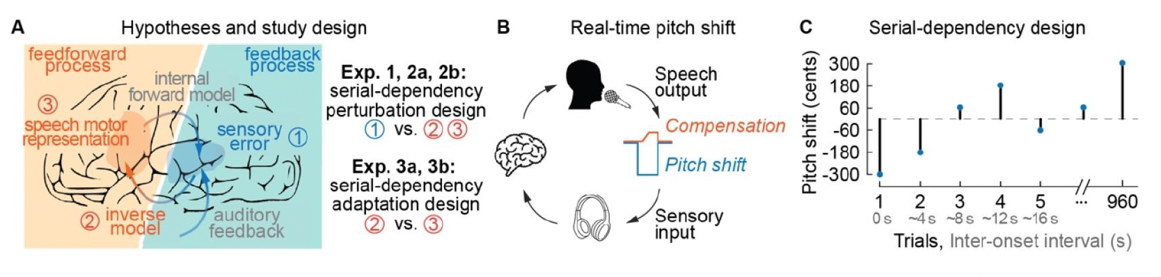 Sensorimotor Learning Neural Mechanisms